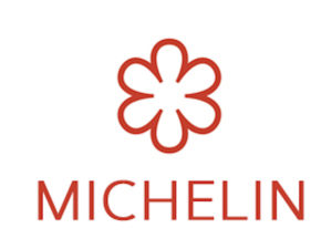 michelin-g
