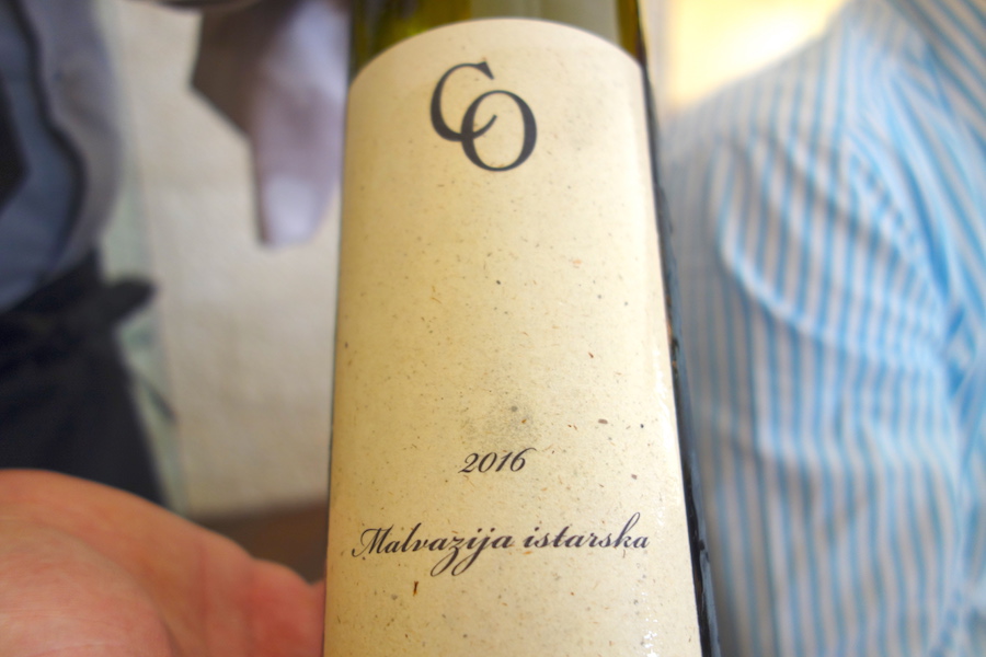 coronica-malvazija-2016