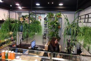 food-expert-inerijer