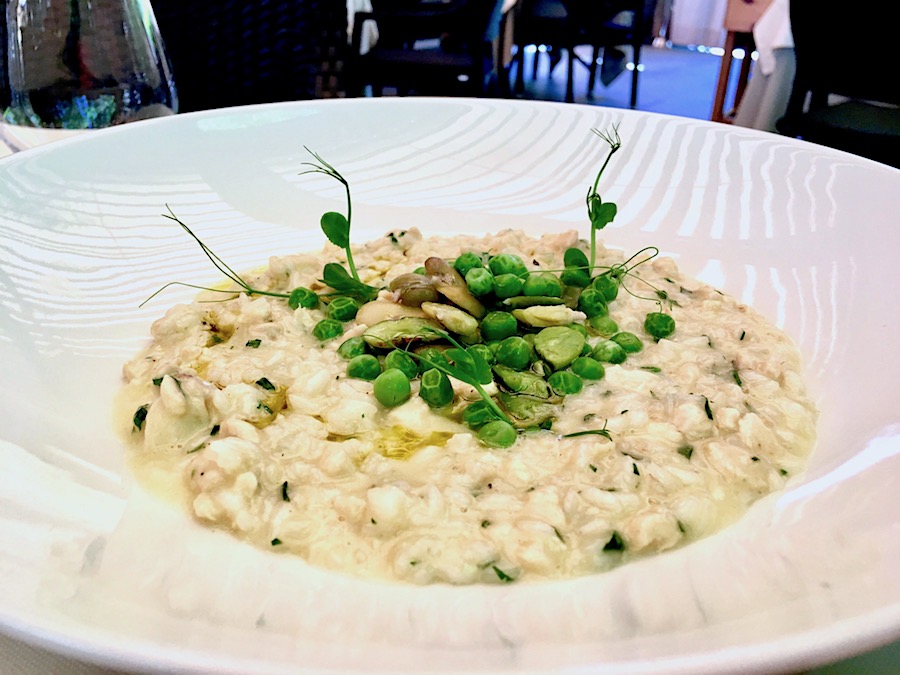 dubravkin-put-rizoto copy