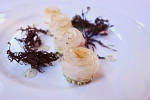 batelina-fucus-iverak (1)