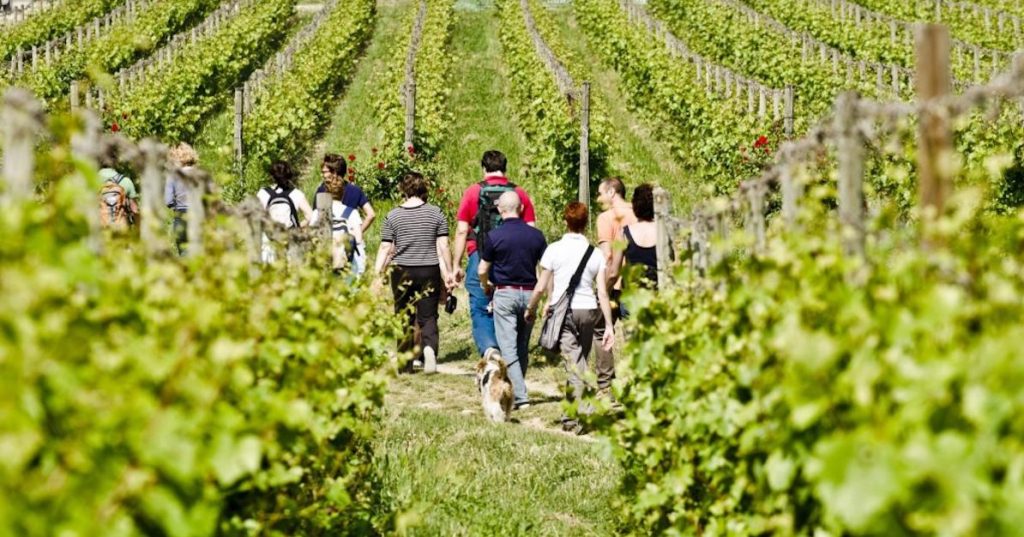 franciacorta-fb