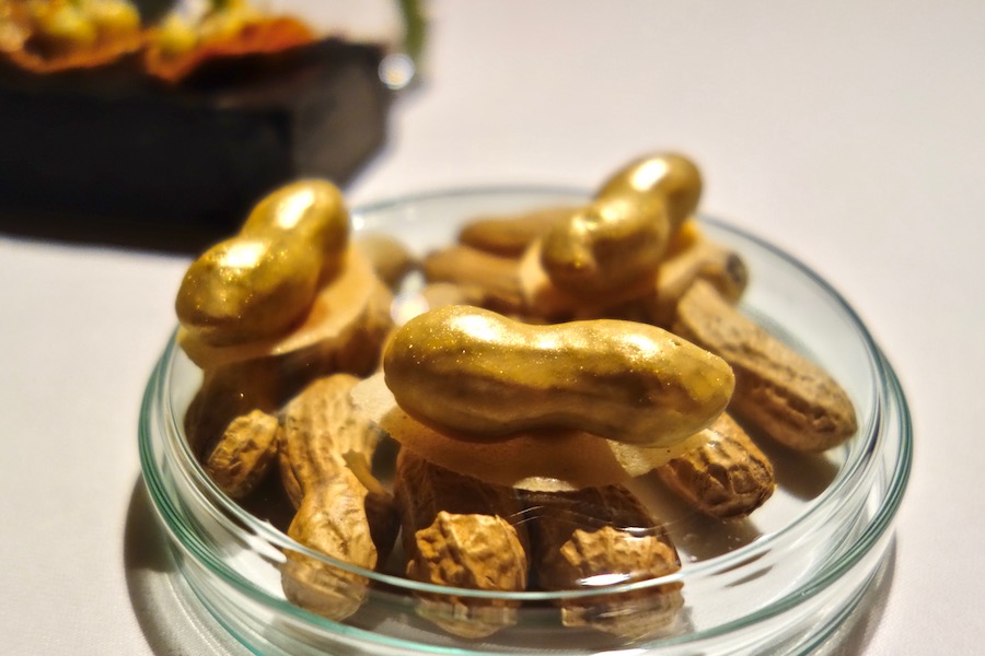 amador-desert-kikiriki (1)