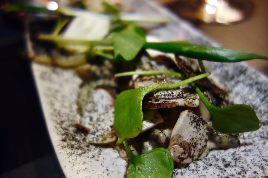 barbieris-02-2018-gljive-skuta