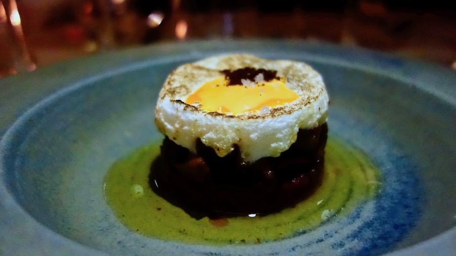 pod-zidom-debeluh-patka