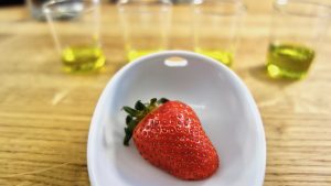 castillo-de-canena-jagoda