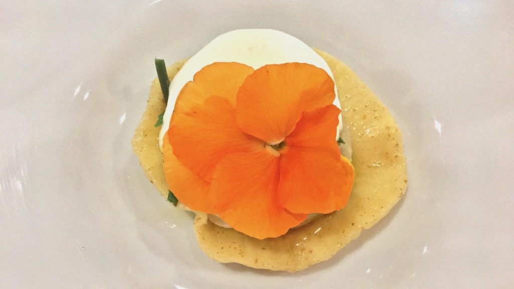 krauthaker-vecera-raviol2