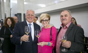 vino-dalmacije-andabak