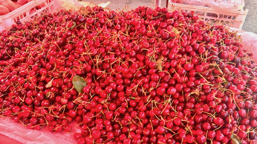 tresnje-prve-trznica-2018