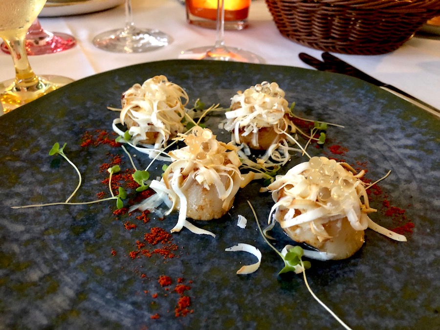 agava-jakovske-kapice