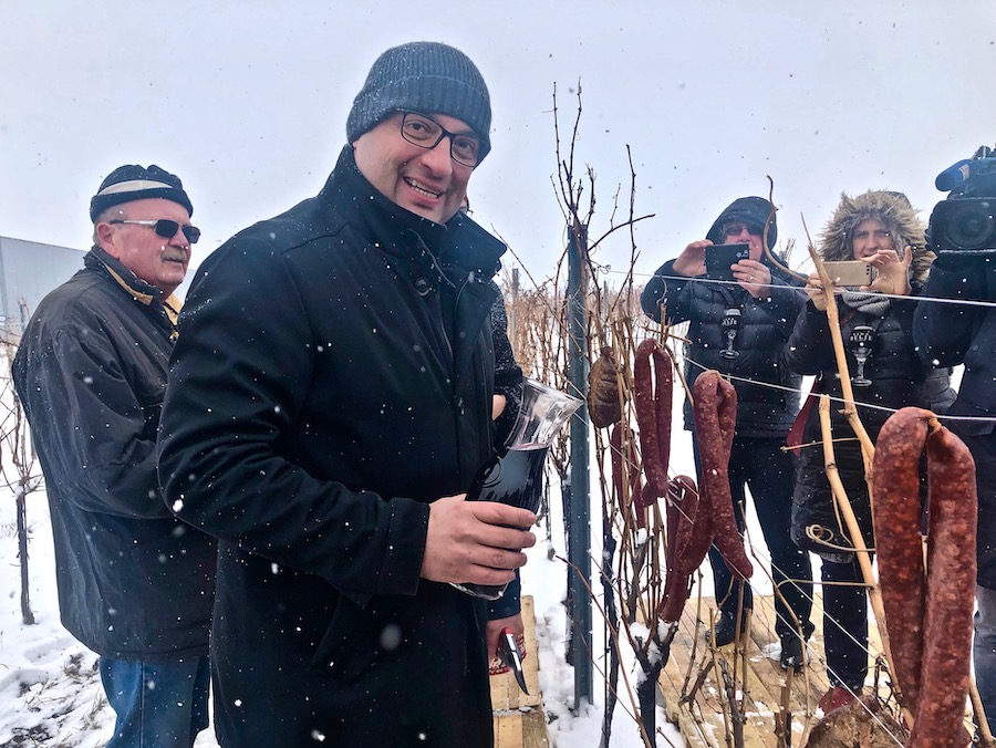 vinceska-bosnjakovic