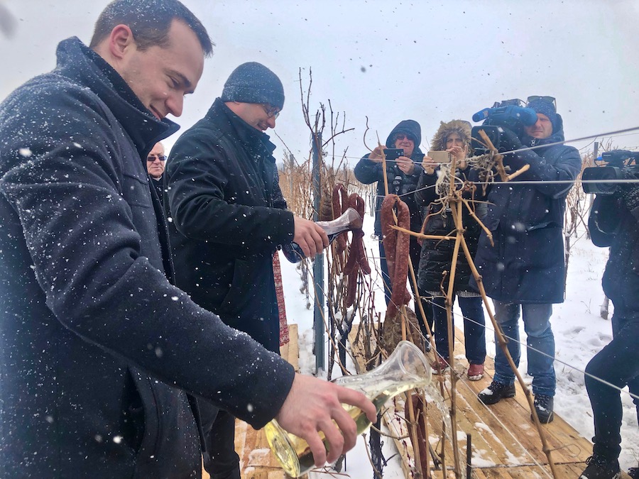 vinceska-vinograd-zalijevanje