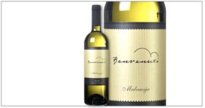 benvenuti-2019-malvazija