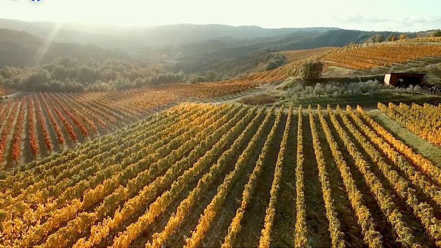 grimalda-jesen-2020-2