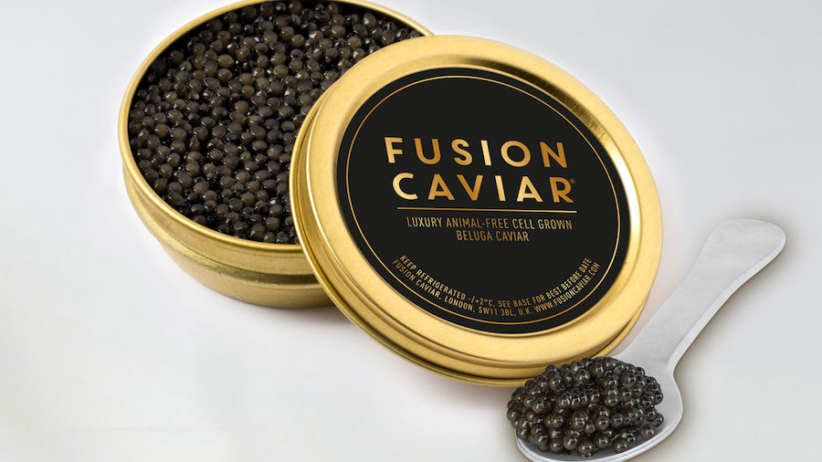 fusion-kavijar