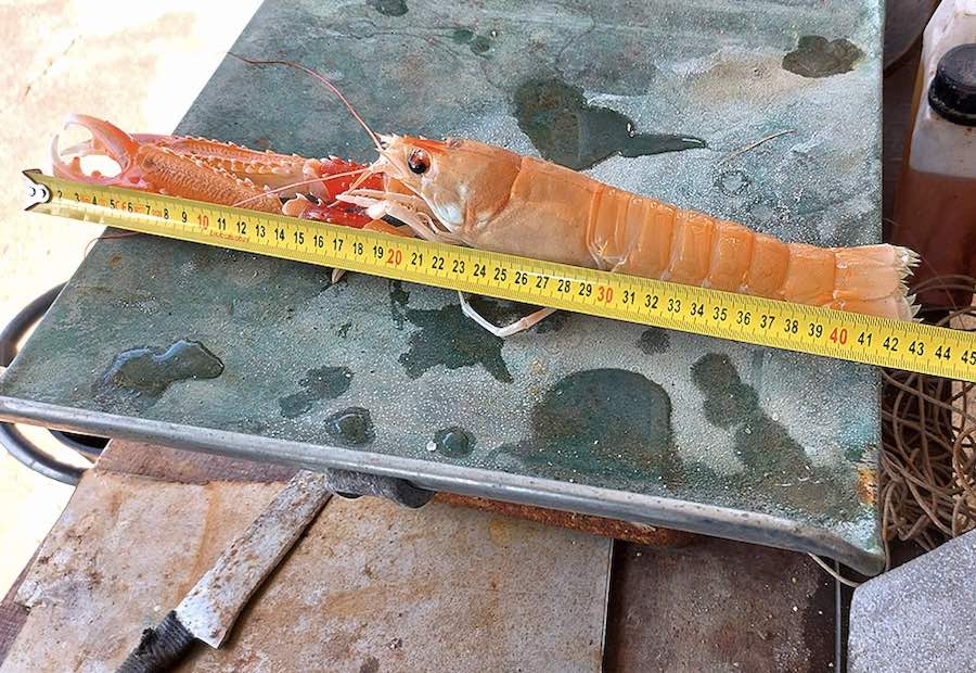 skamp-velebitski-kanal