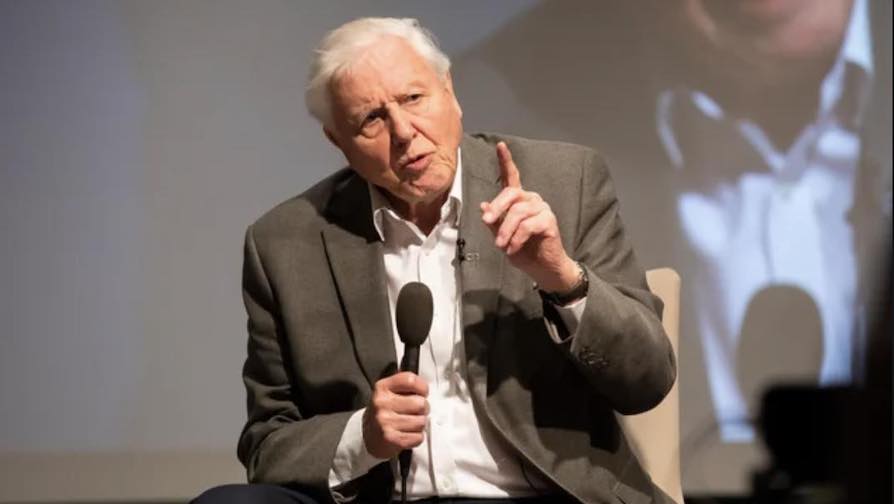 attenborough