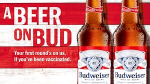 budweiser-1