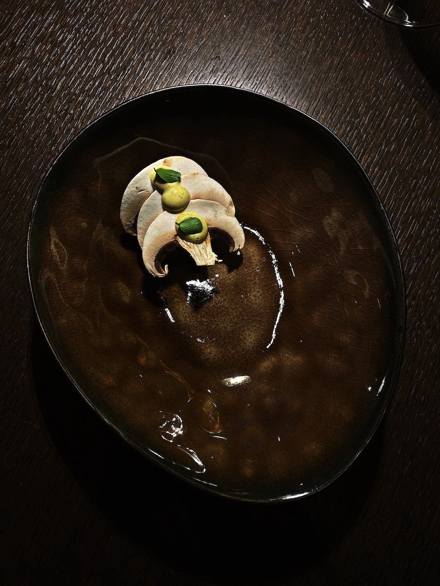 cap-aureo-2021-gljive