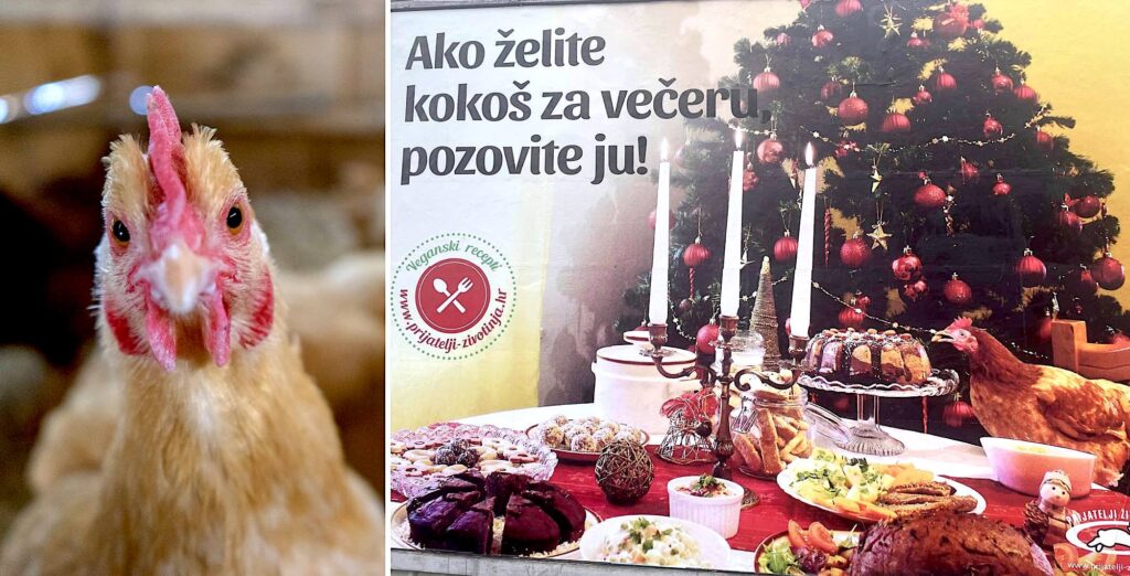 kokos-prijatelji-zivotinja