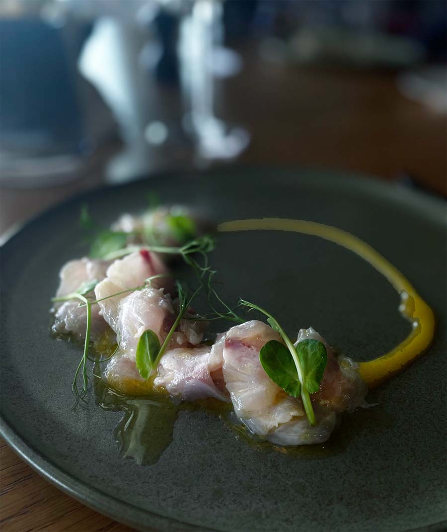 navis-carpaccio-trilja