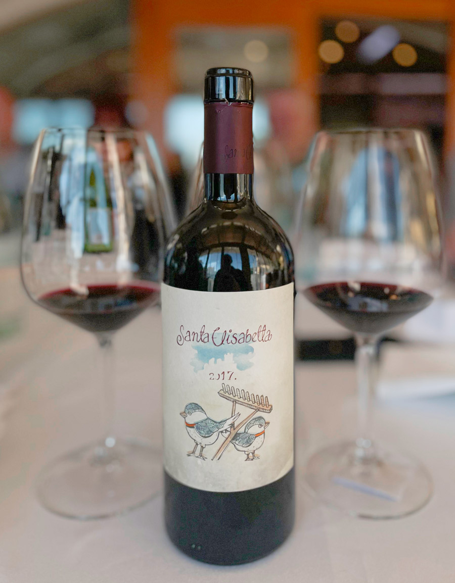 benvenuti-santa-elisabetta-2017