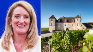 metsola-burgundija-g