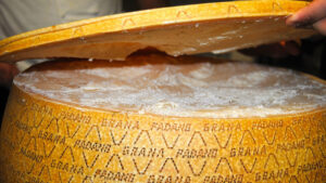 grana-padano
