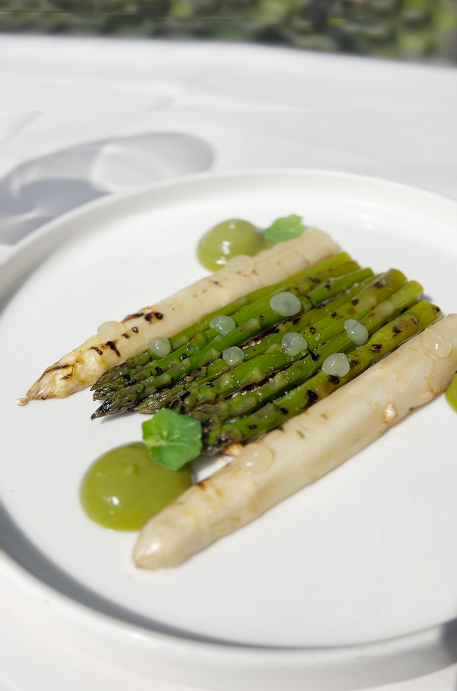 dubravkin-put-sparoge